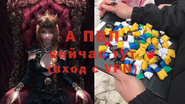 хмурый Кукмор