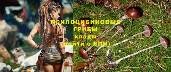 хмурый Кукмор