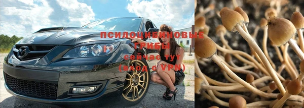 хмурый Кукмор