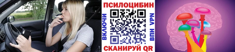 Купить где  Уяр  Галлюциногенные грибы MAGIC MUSHROOMS 